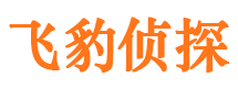 桐柏调查公司